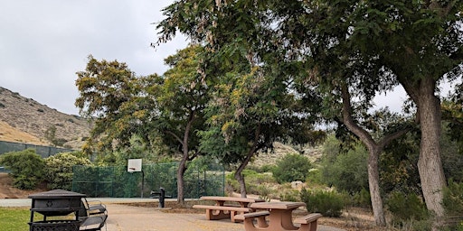 Tree Treks at Buddy Todd Park primary image