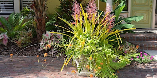 Creating Stunning Garden Containers primary image