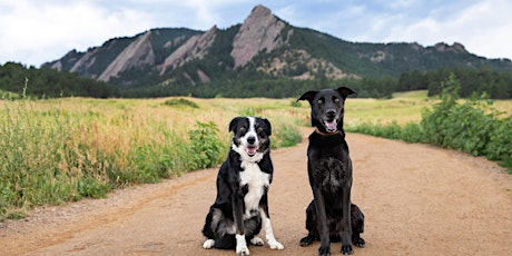 Opening Reception for Boulder Dog Tails Exhibit primary image