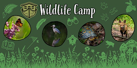 Wildlife Camp - Ages 8-11