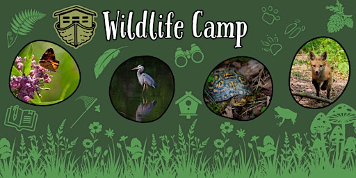 Wildlife Camp - Ages 8-11  primärbild