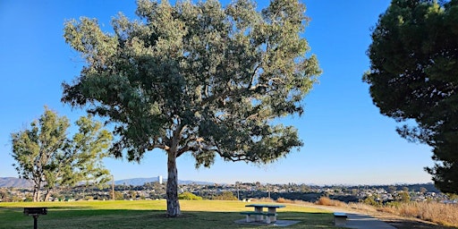 Primaire afbeelding van Tree Treks at Martin Luther King Jr. Community Park (MLK Park)