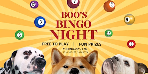 Imagen principal de Boo's Bingo Night