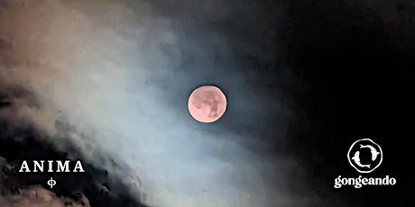 Pink Full Moon Gong bath and Salute to Early Spring Ceremony