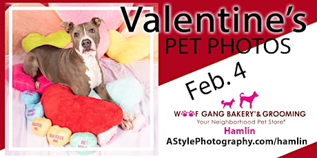 Valentine's Pet Photo Day primary image