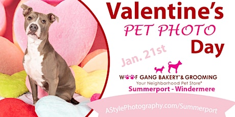 Valentine's Pet Photo Day Woof Gang Bakery Conway primary image