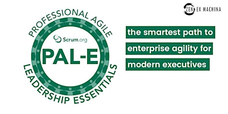 Primaire afbeelding van SOLD OUT! Agile for Executives (PAL-E) certification