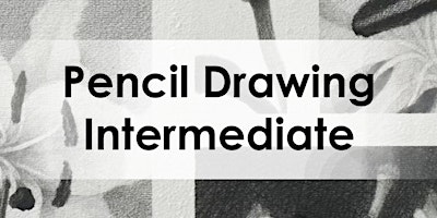 Pencil Drawing for Adults | Intermediate  primärbild