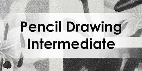 Pencil Drawing for Adults | Intermediate