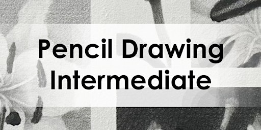 Primaire afbeelding van Pencil Drawing for Adults | Intermediate