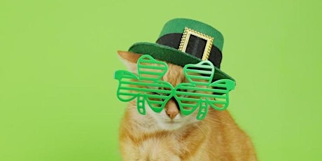 Hauptbild für St. Patrick's Day Cat Yoga