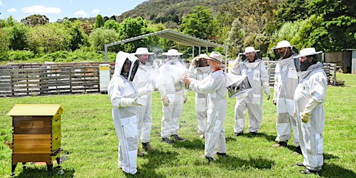 Imagen principal de Beekeeping - Flow Hive Fun