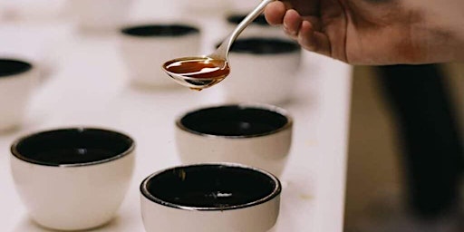 Zest Weekly Coffee Cupping primary image
