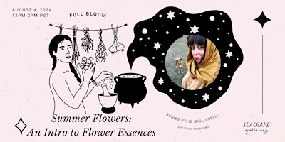 Primaire afbeelding van Summer Flowers: An Introduction to Flower Essences