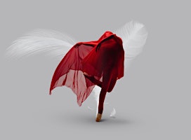 Primaire afbeelding van “The White Feather”