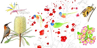 Imagem principal do evento Flowers and pollinators: Nature journaling workshop