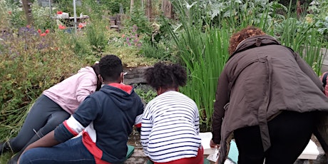 Centre for Wildlife Gardening Minibeast Magic Family Course with Diana