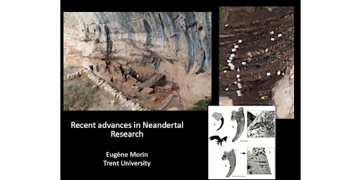 Image principale de Recent advances in Neandertal Research