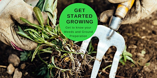 Hauptbild für Get Started Growing  - Know Your Weeds Skill Workshop