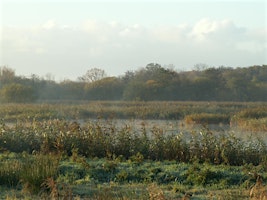 Youth Volunteering - Wildlife Identification Day primary image