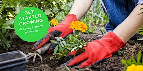 Get Started Growing  - Planting Skills Workshop