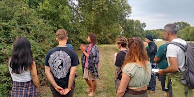 MEDICINAL HERB WALK. SPRING MEDICINES FORAGING primary image