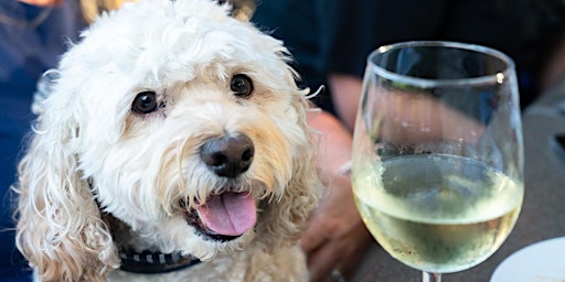 Hauptbild für Paws on The Patio to benefit Charleston Animal Society