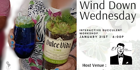 Wind Down Succulent Workshop primary image