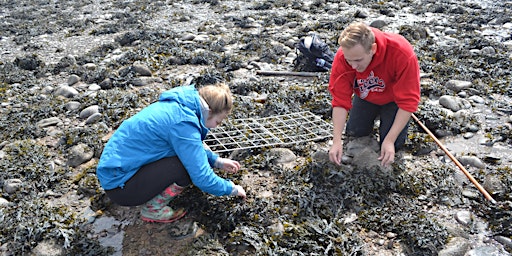 Youth Volunteering - Marine Science Day