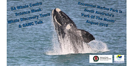 SAWC Science Week Whale Discovery Tour primary image