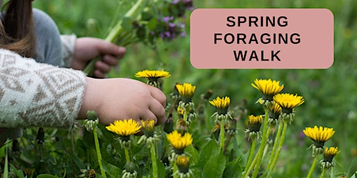Imagem principal do evento Spring  Foraging Walk