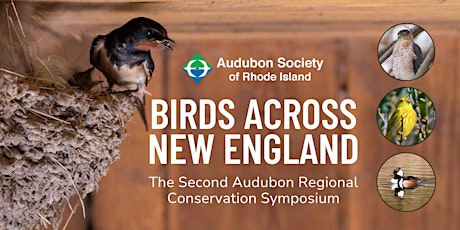 Birds Across New England: Audubon Regional Conservation Symposium primary image