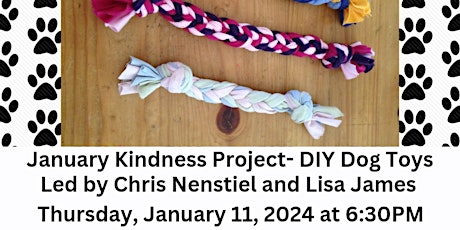 Primaire afbeelding van January Kindness Project- DIY Dog Toys