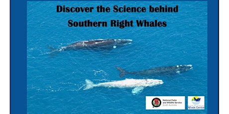 The Science Behind Southern Right Whales primary image