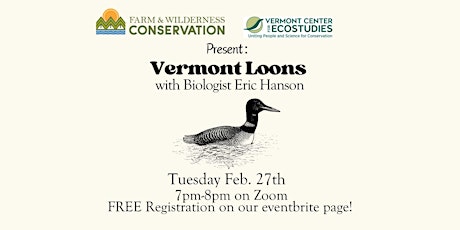 FWC Speaker Series: Vermont Loons with Biologist Eric Hanson primary image