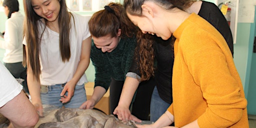 Primaire afbeelding van ECOLOGICAL CITY - Art & Climate Solutions Workshops (GIANT PUPPET BUILD)