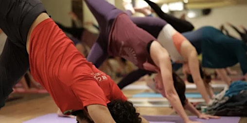 Hauptbild für Community Yoga - Yoga communautaire