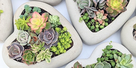 Mother’s Day Heart Succulent Workshop (Afternoon)