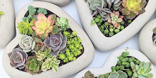 Imagen principal de Mother’s Day Heart Succulent Workshop