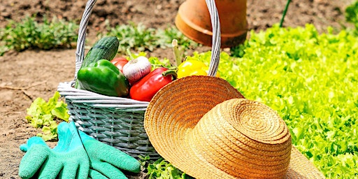 Tips for Successful Veggie Gardening primary image