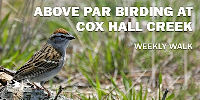 Above Par Birding at Cox Hall Creek primary image