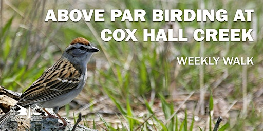 Imagem principal do evento Above Par Birding at Cox Hall Creek