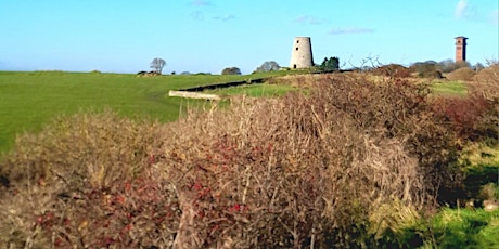 A Tale of Three Windmills (almost)! primary image