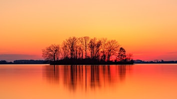 Hauptbild für Meditation Class - Creating a Temple at the Heart.