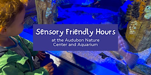 Imagem principal do evento Sensory Friendly Hours at Audubon