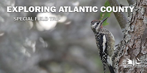 Imagem principal de Exploring Atlantic County