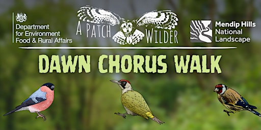 Immagine principale di Dawn Chorus Walk 