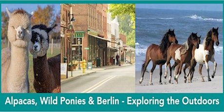 Visit with  Alpacas, Wild Ponies, Plus Dine and Shop in Historic Berlin,MD primary image