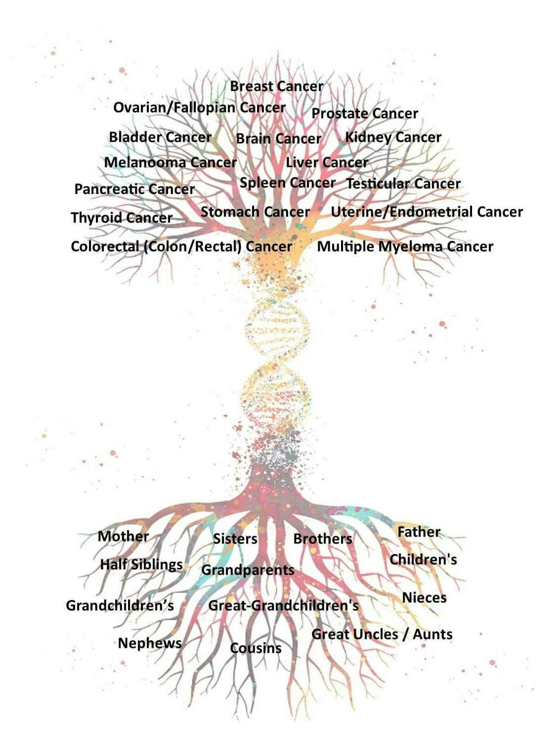 DNA Cancer Screening- No Cost 2 You, for those Who Qualify on Medicaid And MEDICARE 