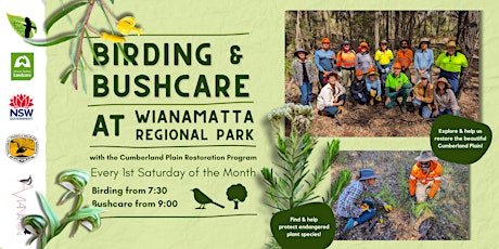 Birding & Bushcare at Wianamatta Regional Park